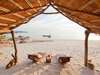 Nkwichi Lodge - canopy on beach